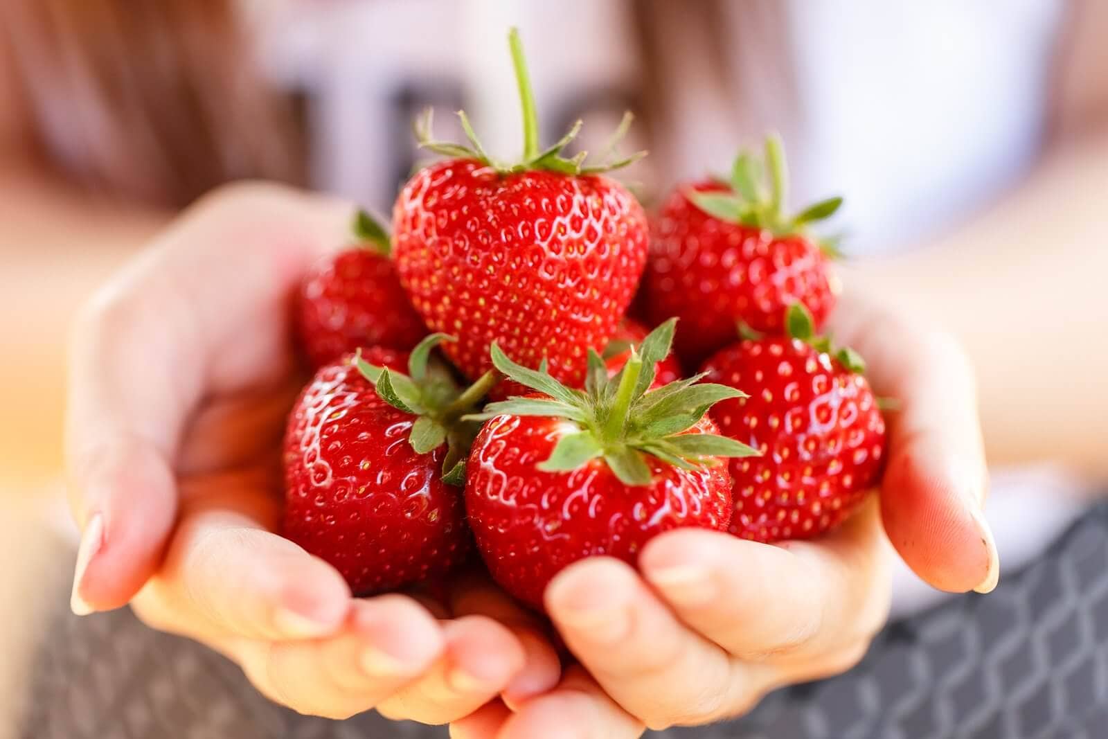 Fresh Strawberries Picked From A Strawberry Farm