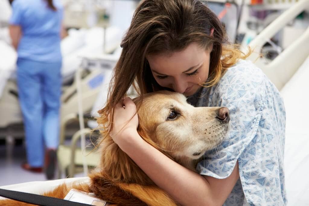 why-can-dogs-can-sniff-out-cancer-faster-then-any-other-test