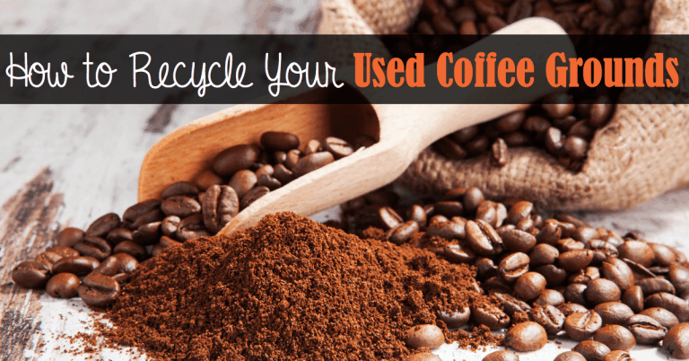 Great Ways to Recycle Your Used Coffee Grounds