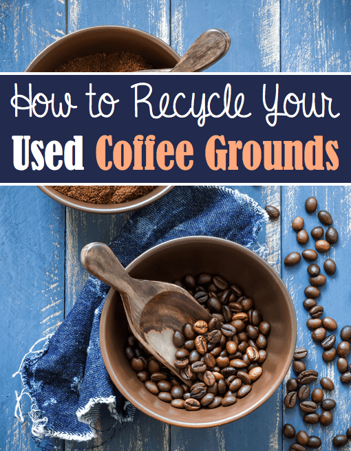Great Ways to Recycle Your Used Coffee Grounds