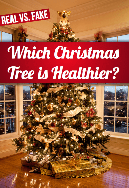 Real Vs. Fake: Which Christmas Tree is Healthier? 