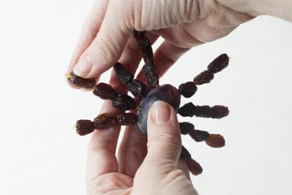 spider halloween snack