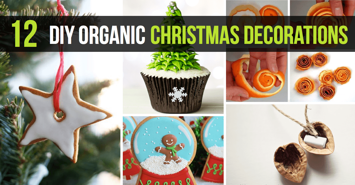 12 DIY Organic Christmas Decorations That Will Make Your Home Look and