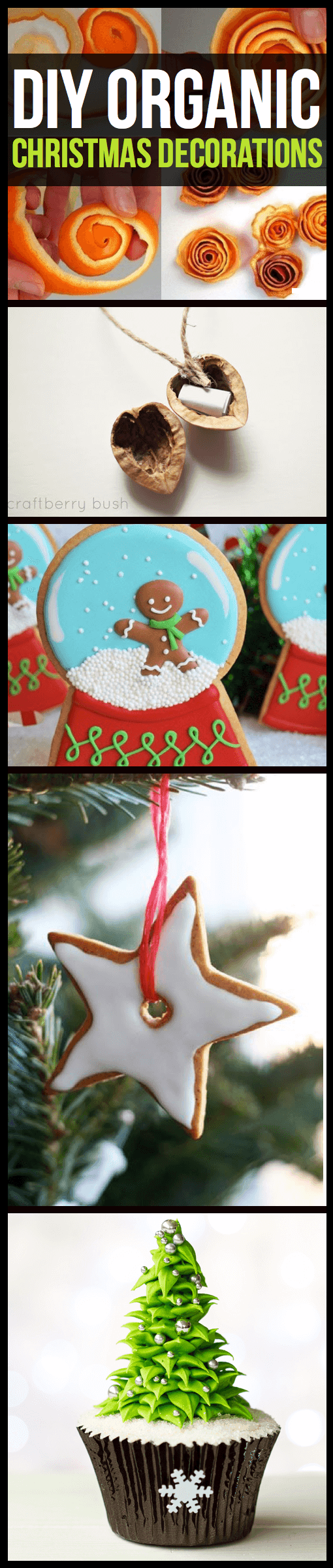 12 DIY Organic Christmas Decorations That Will Make Your Home Look and Feel Sweeter 