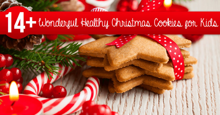 wonderful healthy christmas cookies for kids