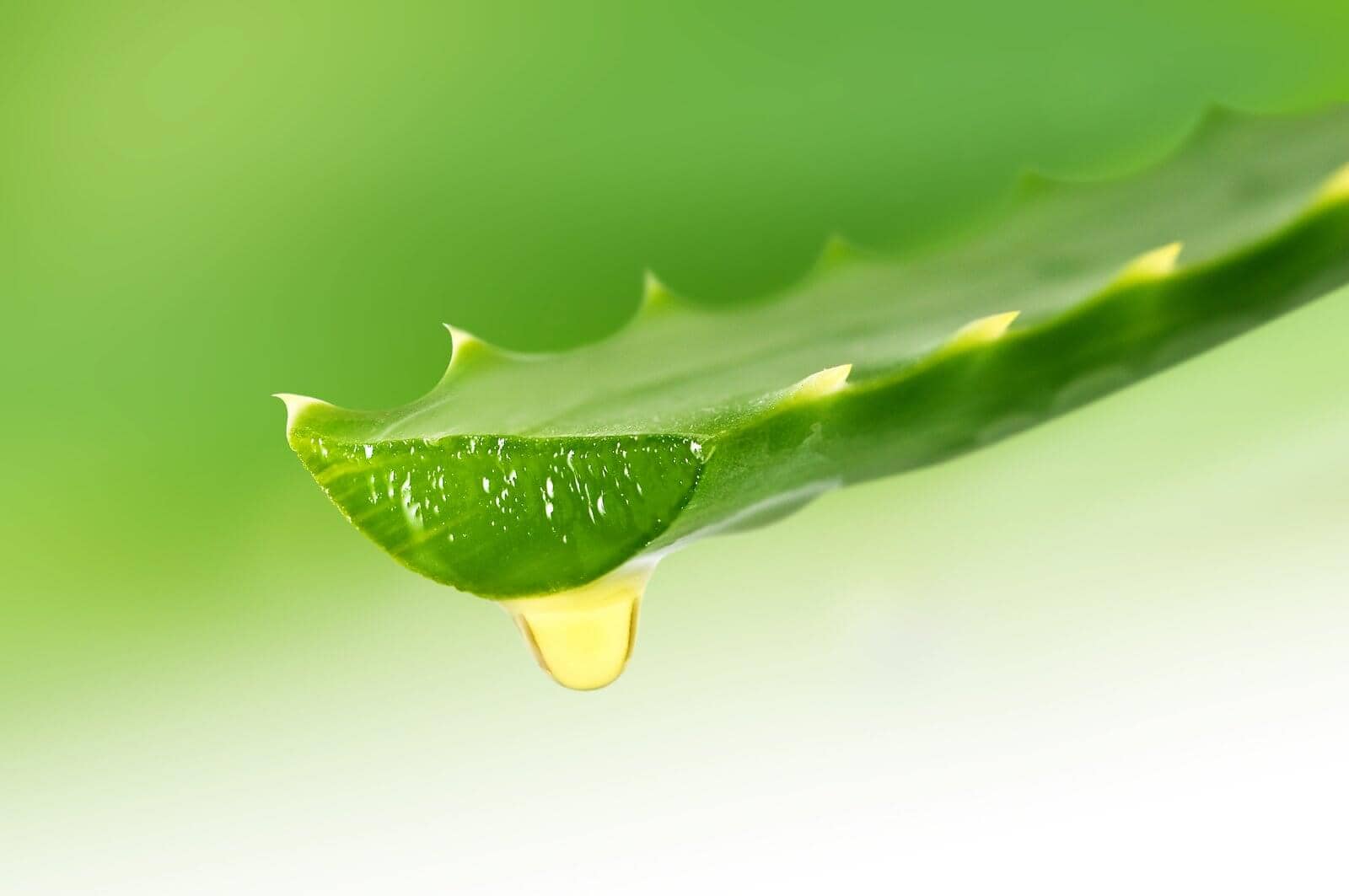 Aloe Vera Juice