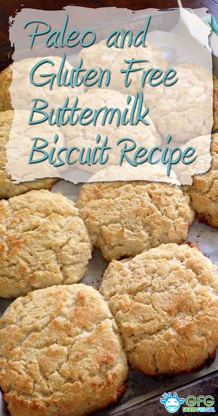Paleo and Gluten-Free Buttermilk Biscuit Recipe