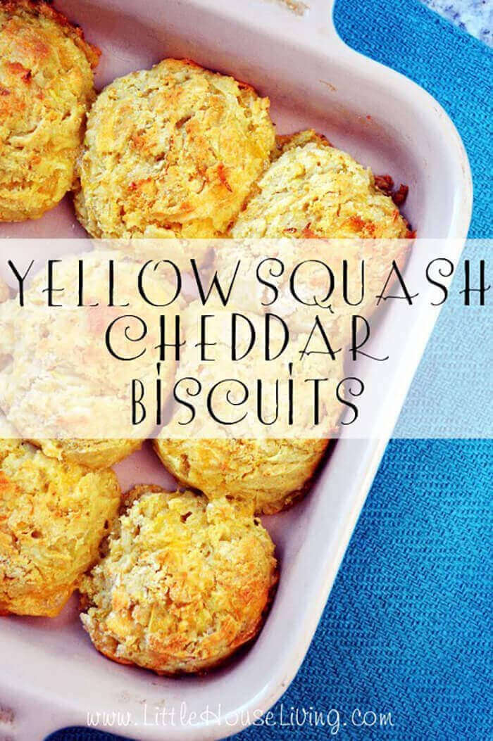 Yellow Squash Chedder Biscuits