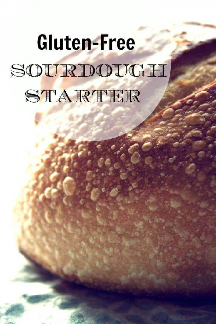 Gluten-Free Sourdough Starter