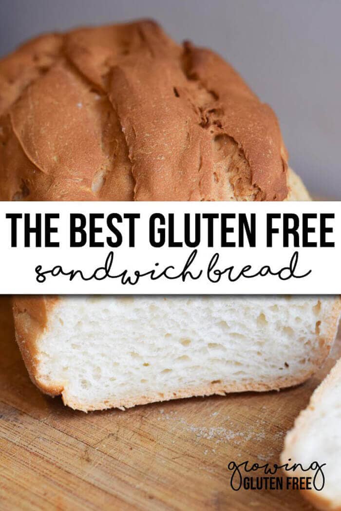 The Sandwich Bread