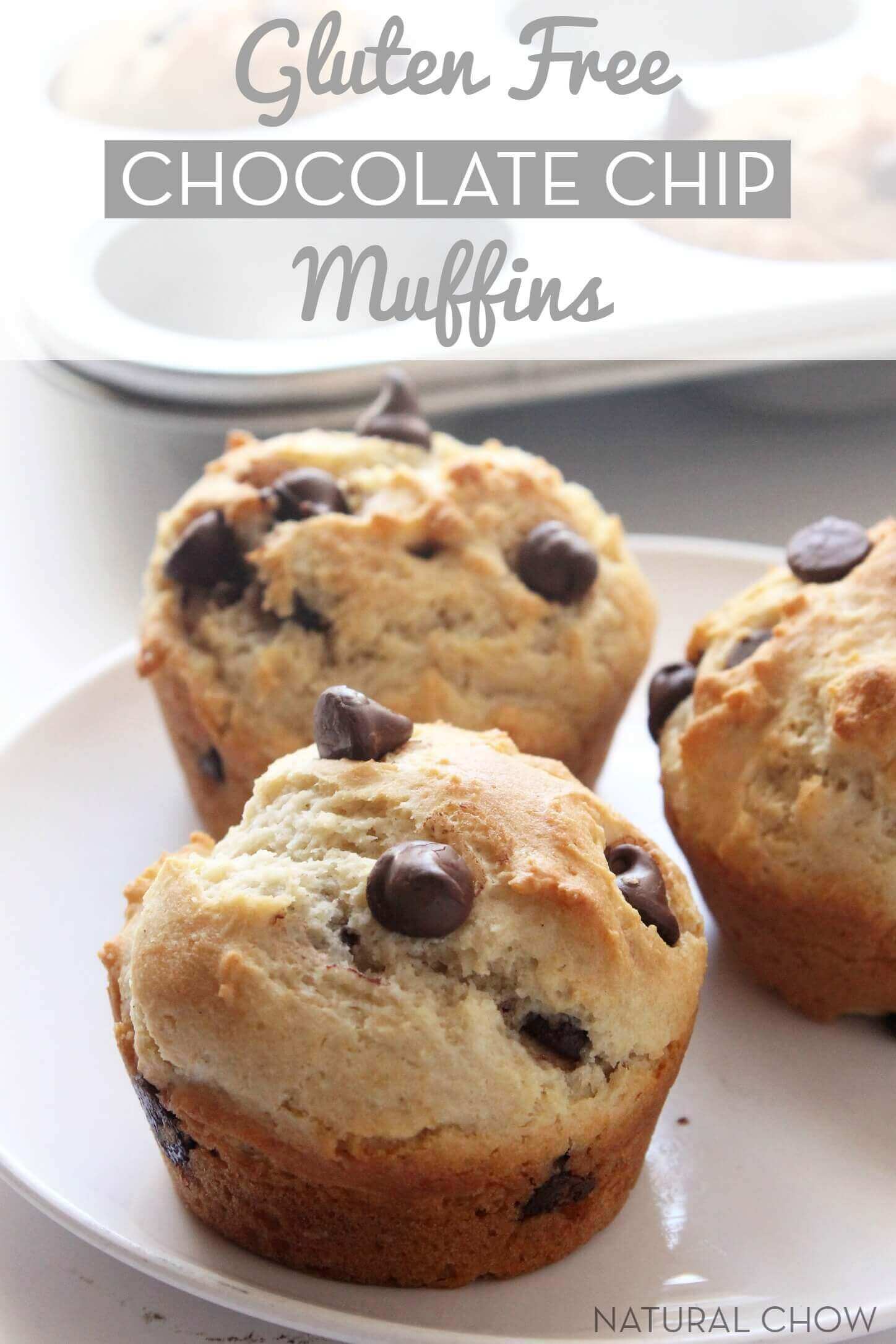 Gluten-free Chocolate Chip Muffins